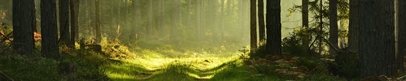 MAP Tray 265x190 Blue - Billede 4